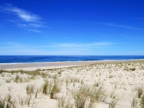Loft Standing 100 M2 A 200 Metres De La Plage Apartment Lacanau Luaran gambar
